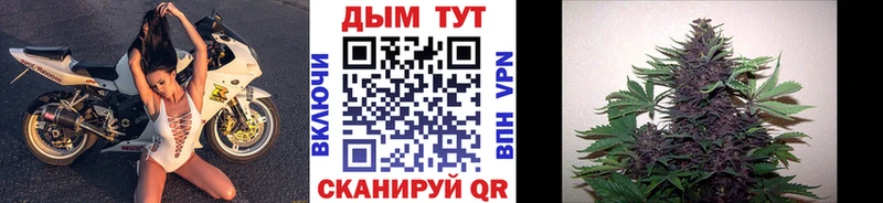 Где купить наркоту Благодарный Alpha PVP  Cocaine  МЕФ  АМФ  Конопля 