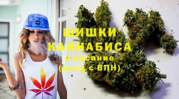 мдпв Медногорск