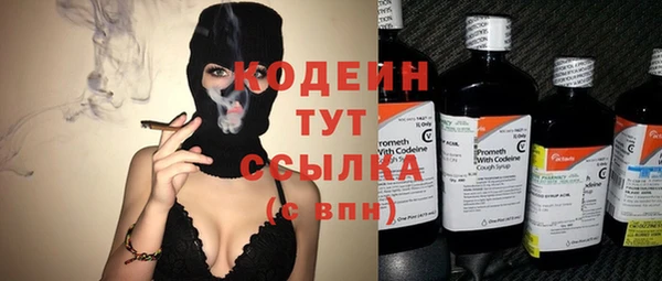 герыч Мегион