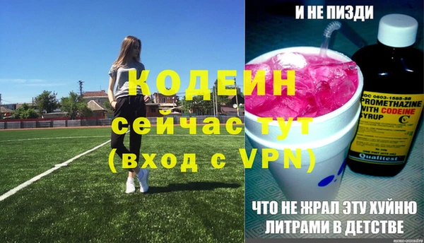 герыч Мегион