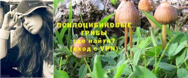герыч Мегион