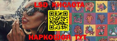 шишки Берёзовский
