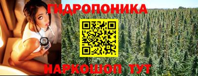 шишки Берёзовский