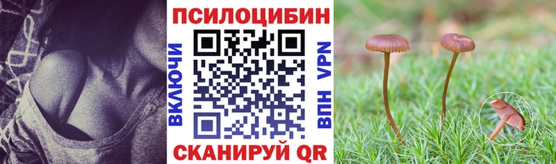 Галлюциногенные грибы Psilocybe  Благодарный 