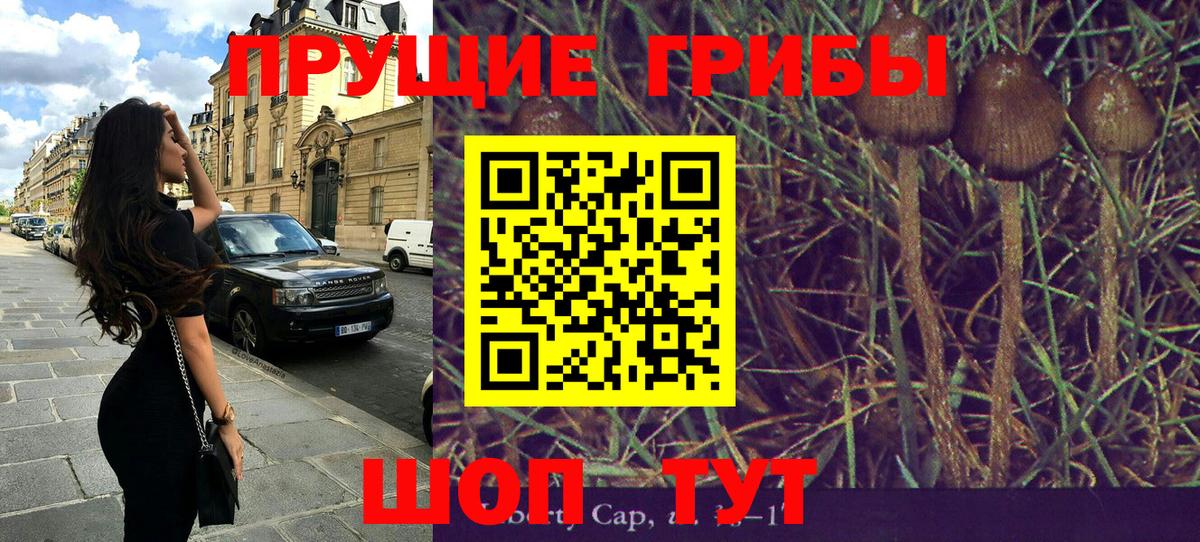 Псилоцибиновые грибы ЛСД Благодарный