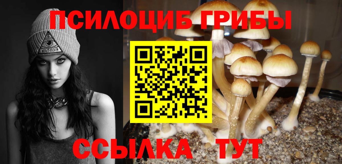 Галлюциногенные грибы Cubensis Благодарный