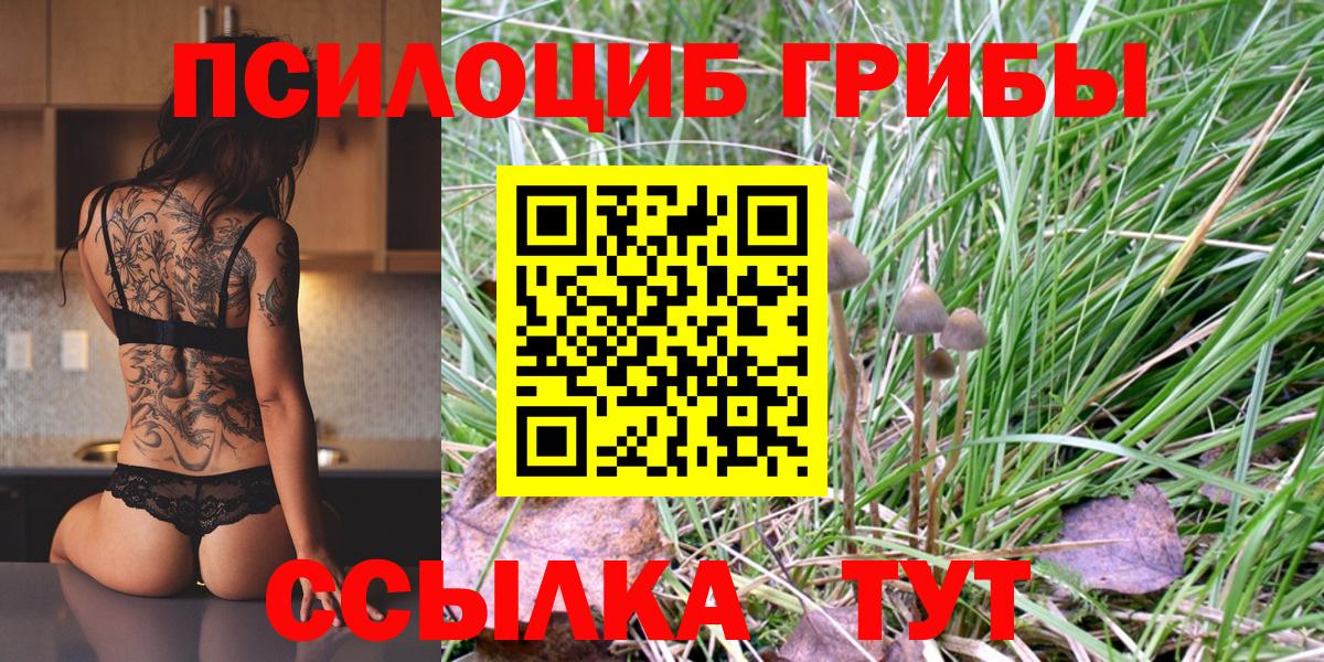 Благодарный  Псилоцибиновые грибы Psilocybine cubensis  Вход с VPN 