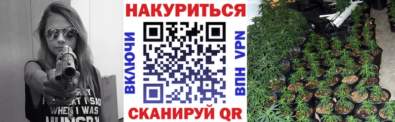 закладка  Благодарный  Бошки марихуана тримм 