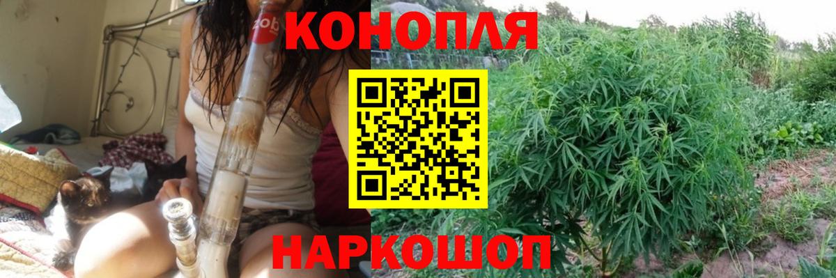 Каннабис сатива Благодарный